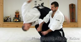 Describe the photo or the page it links to